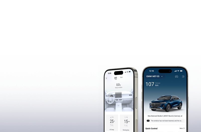 Приложение MyGWM